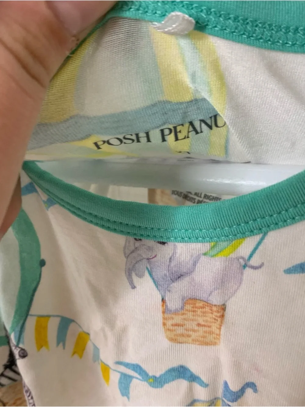 Posh Peanut Hot Air Ballon Animals Romper Size 2T